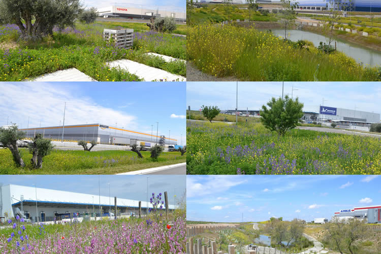 Plataforma Central Iberum incorpora nuevos desarrollos para Mountpark y Gazeley