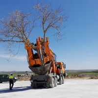-Obras